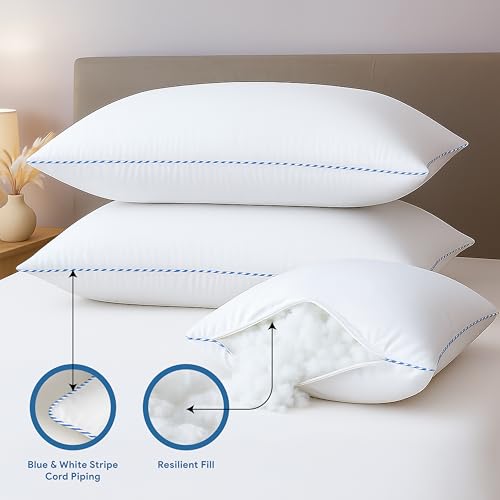 bien LIVING Softmax Pillow, Standard Size, 17x27 Inches, White, Pack of 2