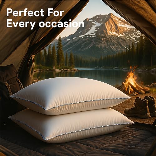 bien LIVING Softmax Pillow, Standard Size, 17x27 Inches, White, Pack of 2