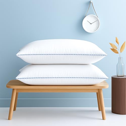 bien LIVING Softmax Pillow, Standard Size, 17x27 Inches, White, Pack of 2
