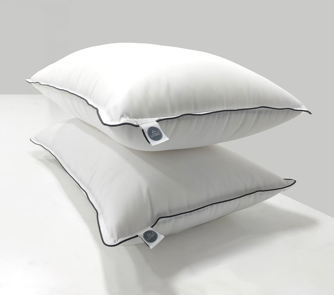 Plush Pillow Set of 2, White, 17 x 27 Inches