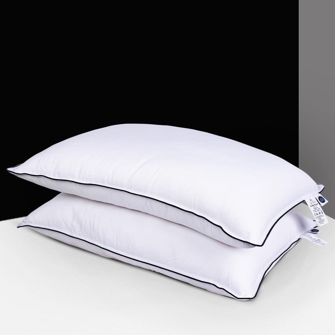 Plush Pillow Set of 2, White, 17 x 27 Inches