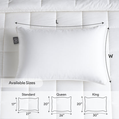 White Story Luxe Pearl Plush Pillow, White - Twin Pack