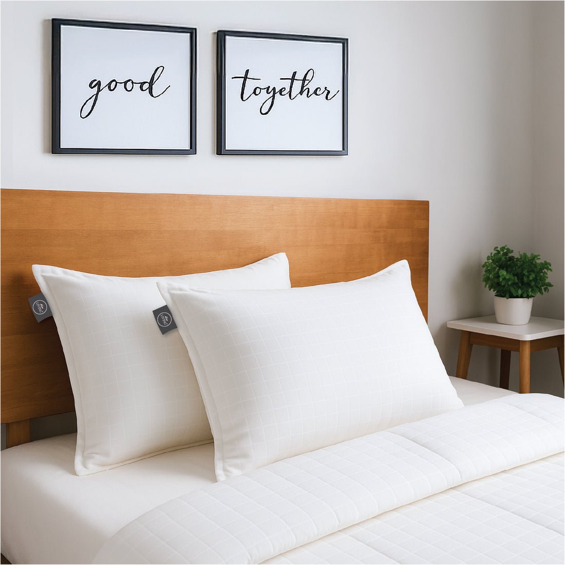 White Story Regency Check Pillow, White - Twin Pack