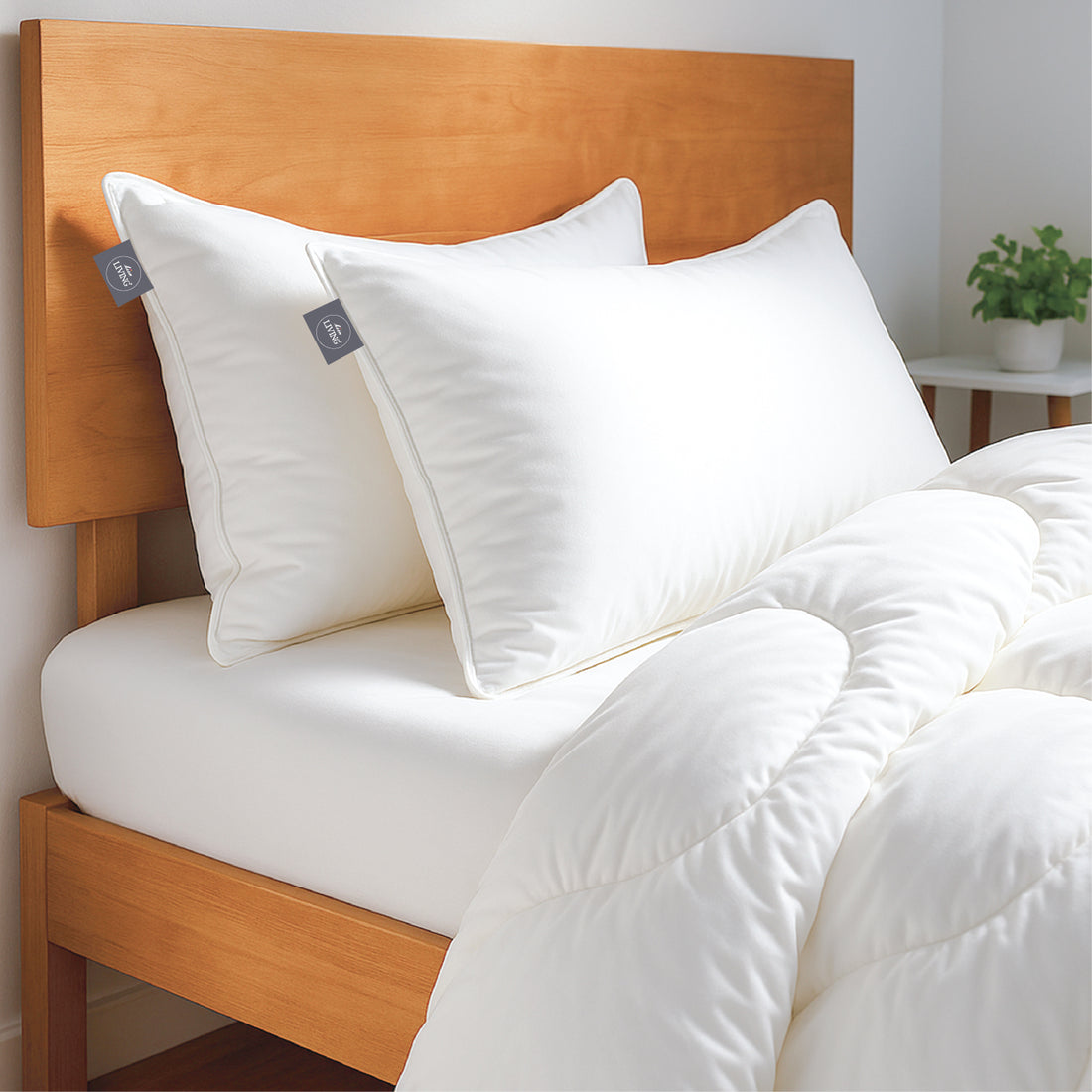 White Story Down Alternative Pillow, White -Twin Pack