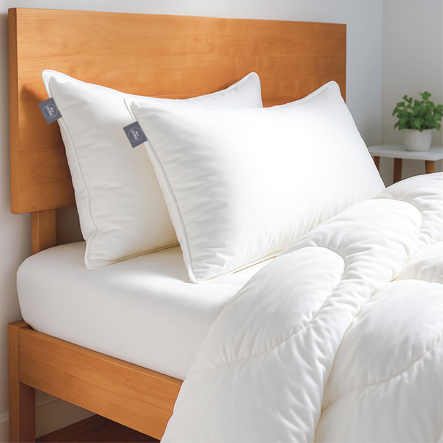 White Story Down Alternative Pillow, White -Twin Pack