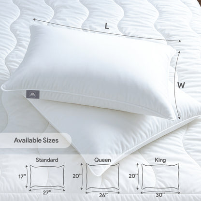 White Story Down Alternative Pillow, White -Twin Pack