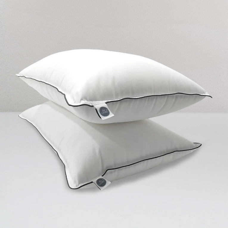 Plush Pillow Set of 2, White, 17 x 27 Inches